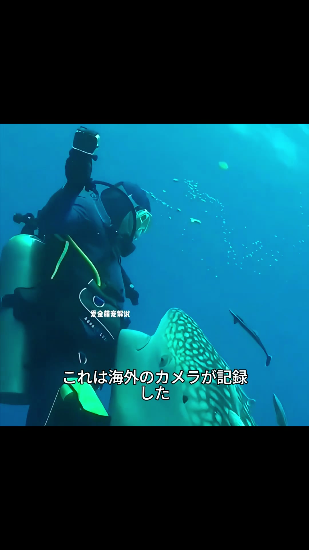 @斎藤アウトドア