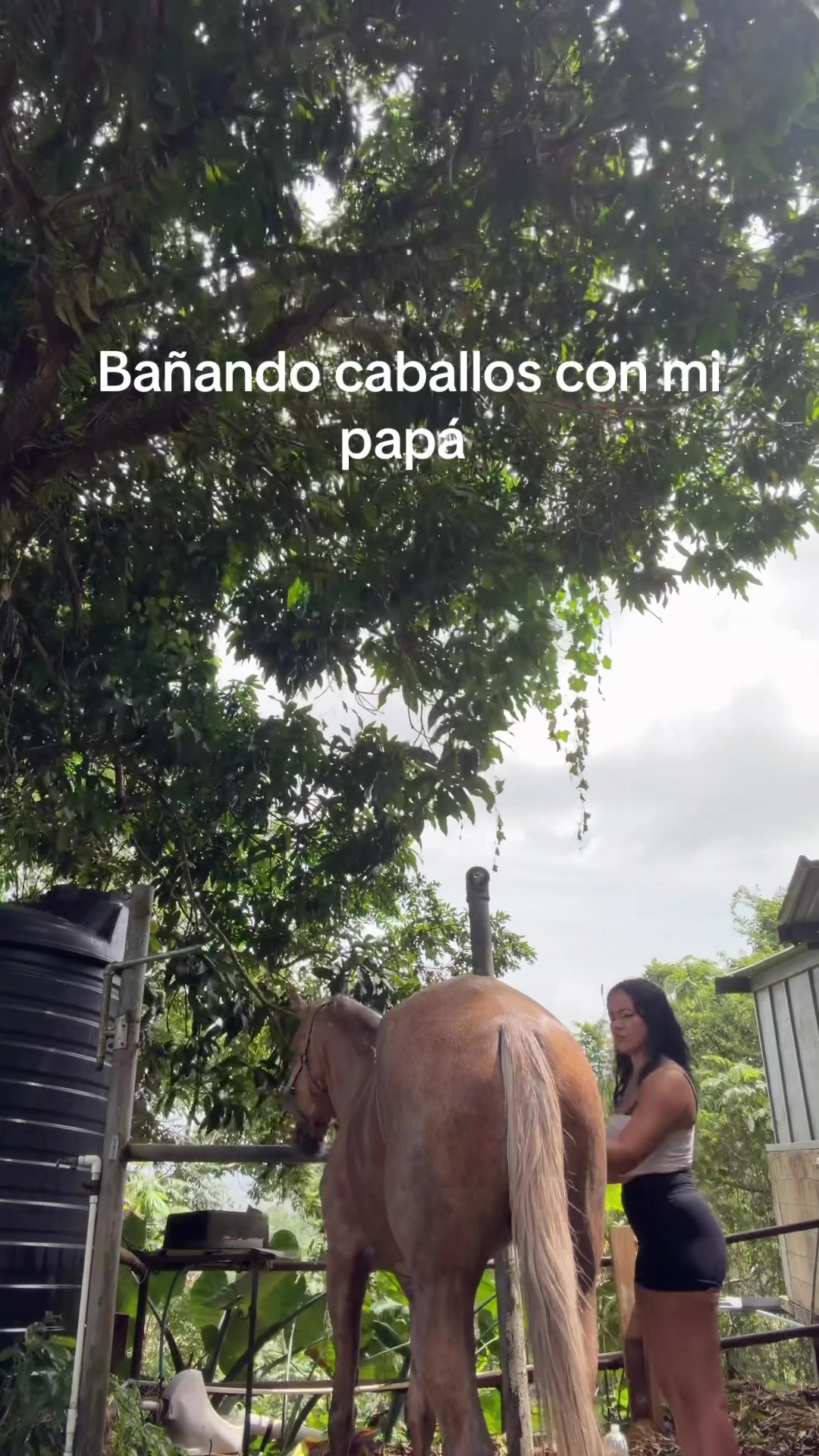 @Melissa López Rosa