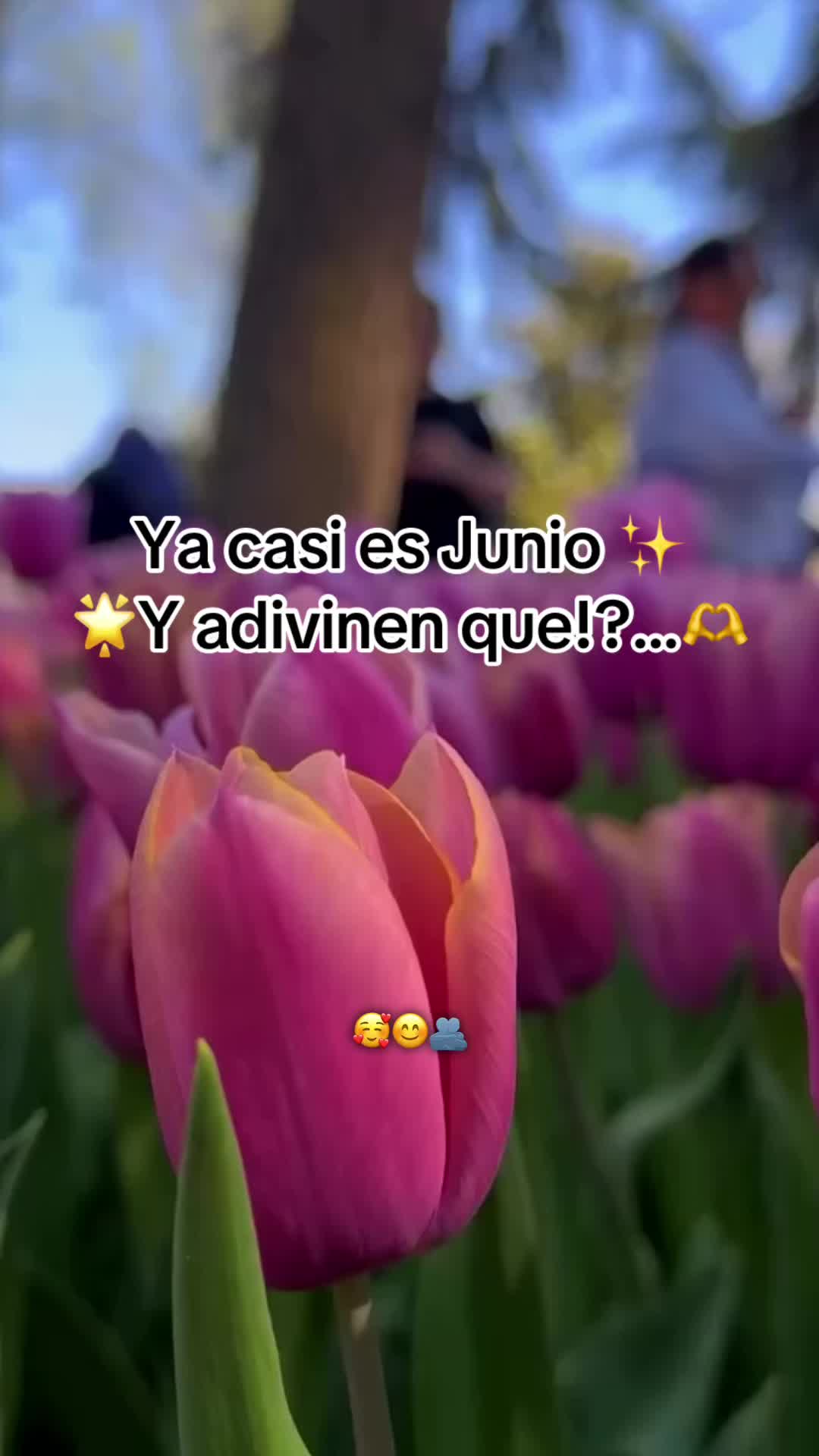 @Sonia