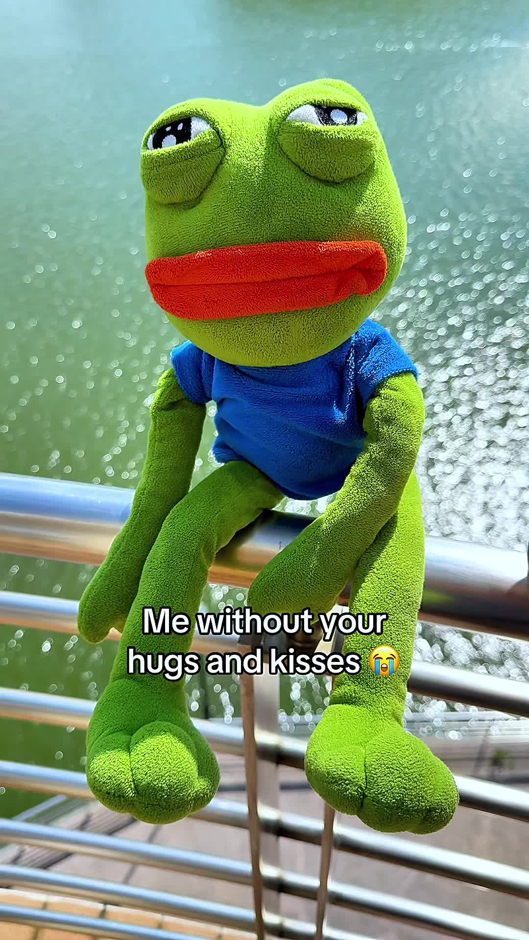 @AdoptAPepe
