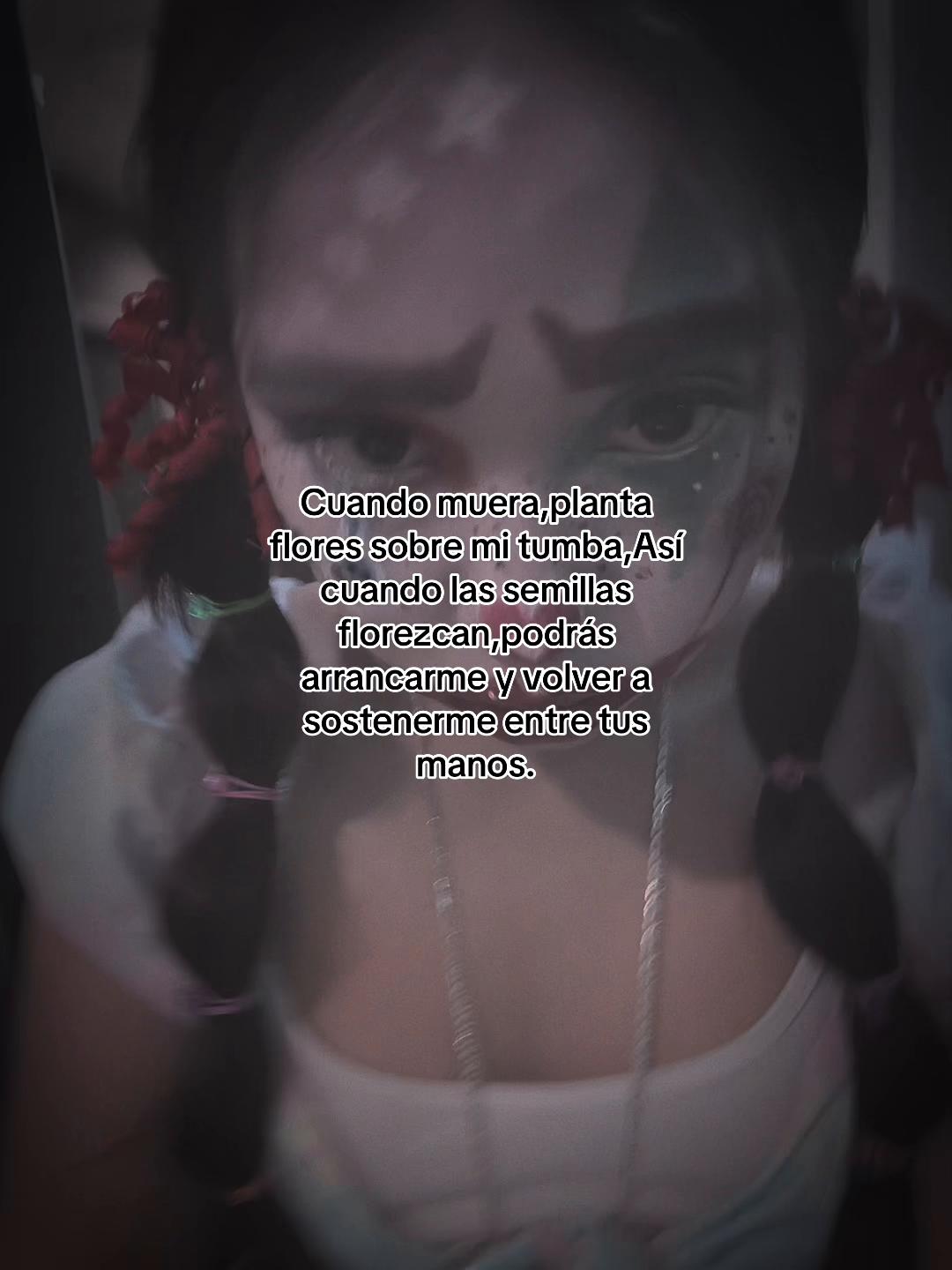 @☾ ⋆⭒˚.⋆ 𝒜𝓻𝓪 ⋆⭒˚.⋆𖤓