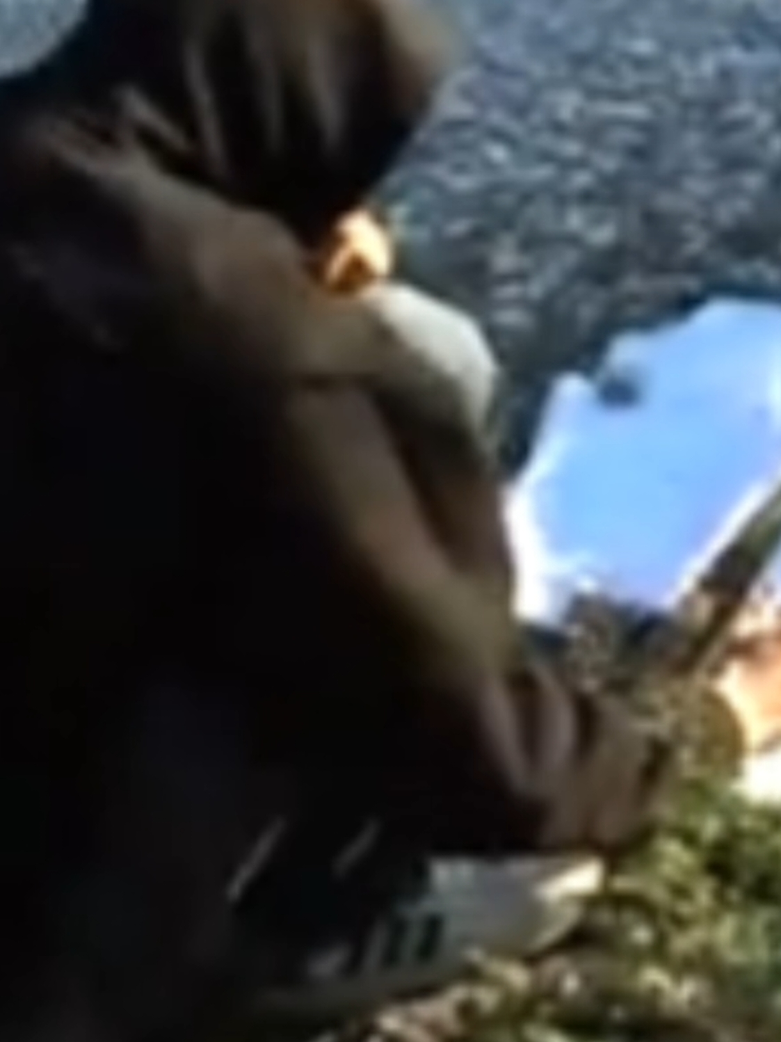 @Vidéo Jamais Vu