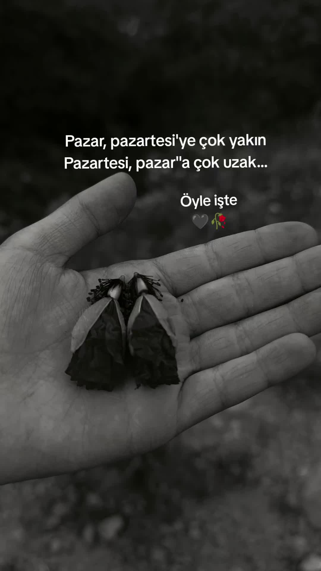 @🖤Sesizliğin🖤Çığlığı🖤