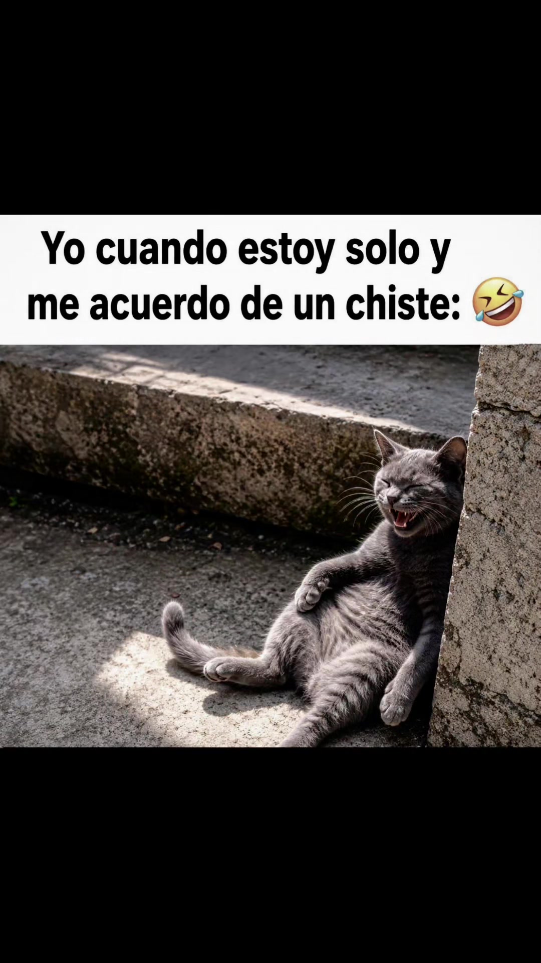 @Leo