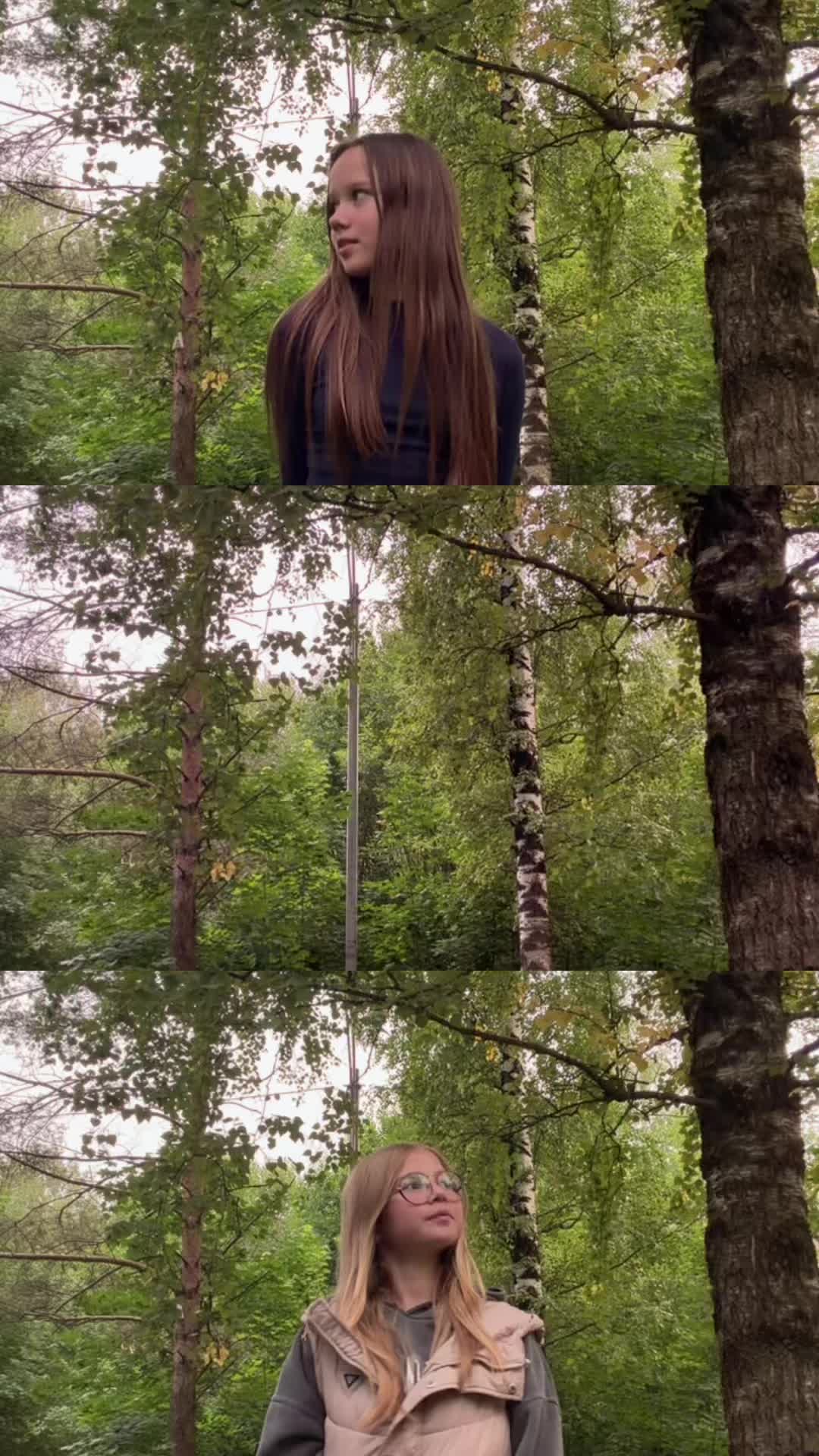 @Shibaaa