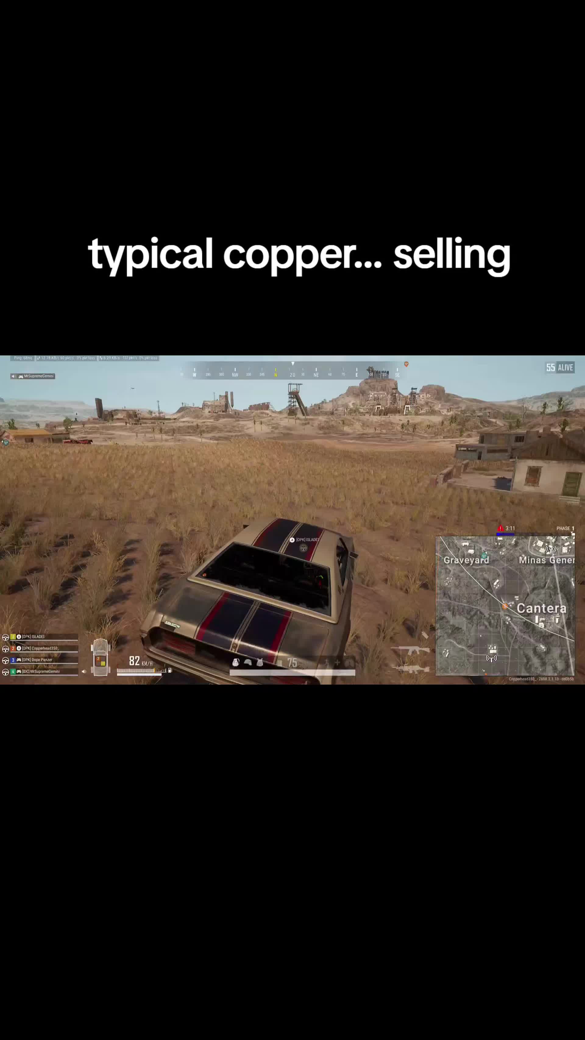 @copperhead350 pubg