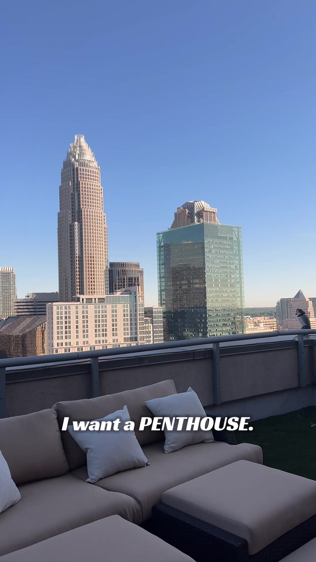 @CHARLOTTE LOCATOR