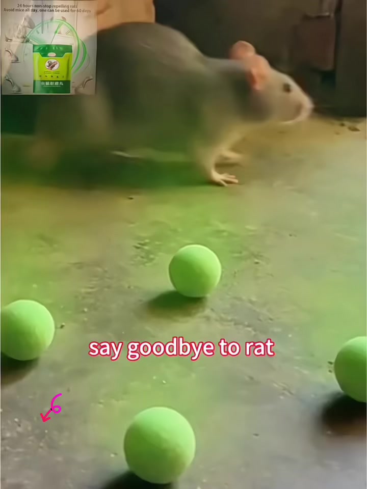 @Sue