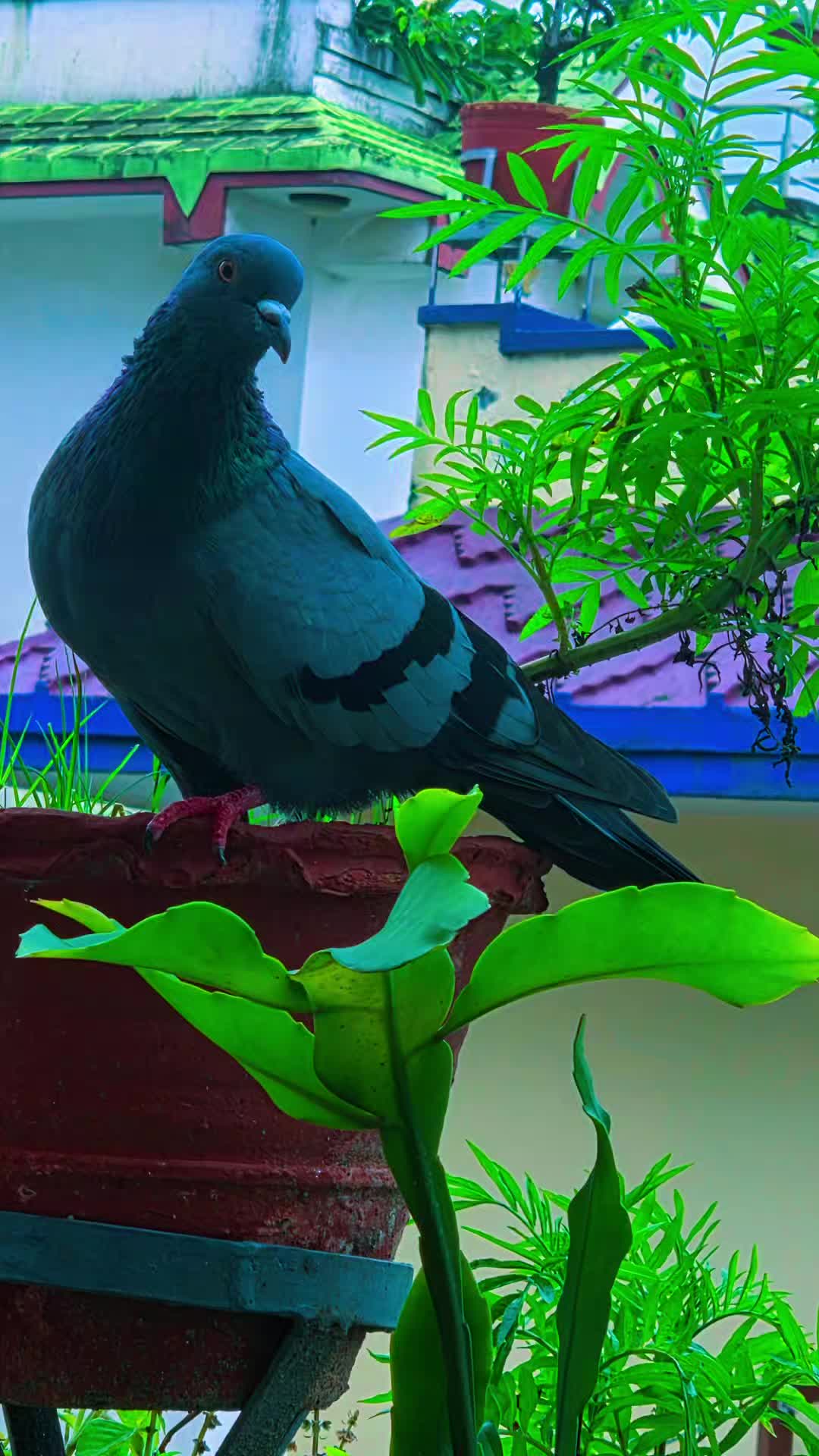 @S A N D I P P O U D E L