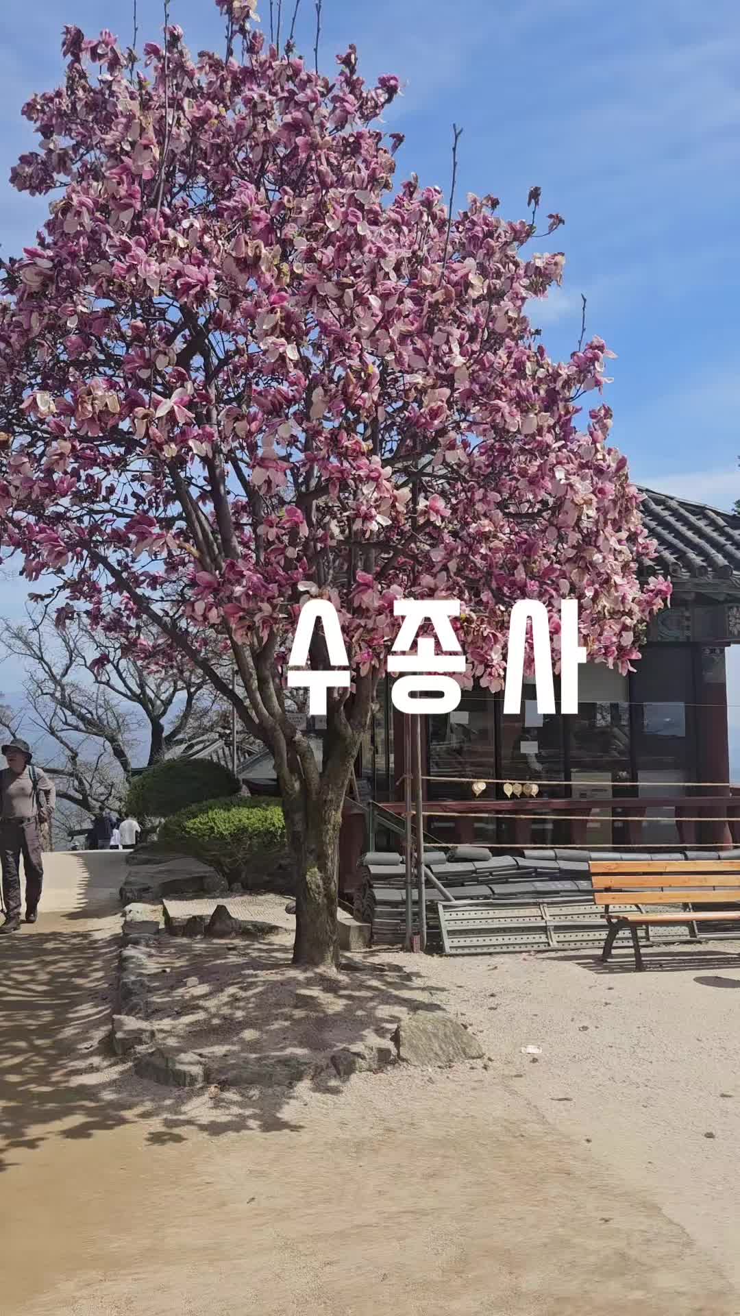 @뉴스녀
