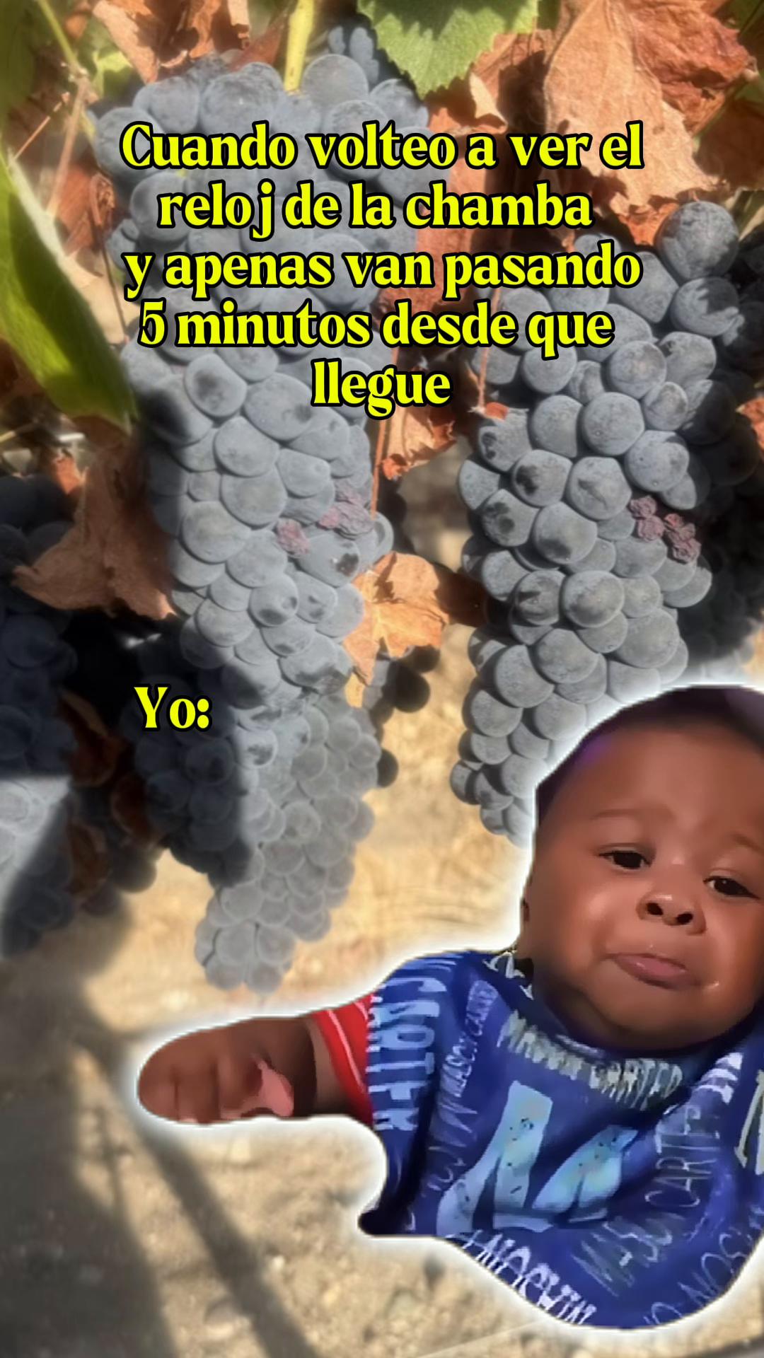 @Sandra Santiago