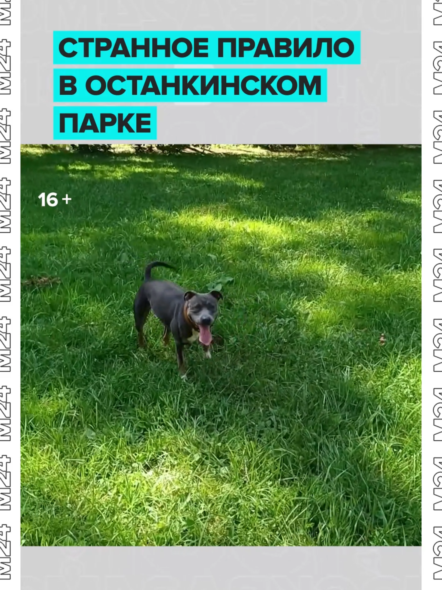 @Москва 24