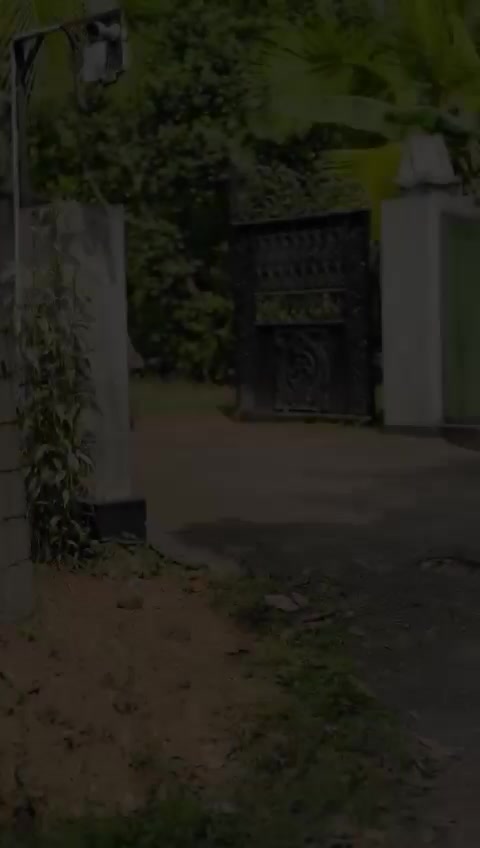 @Pamod.z
