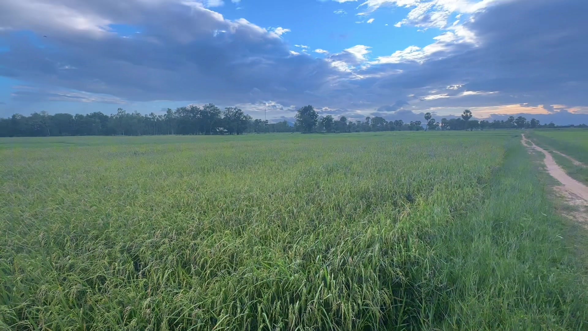 @សឿន វណ្ណា - सोएन् वण्णा 🌾💚🌅