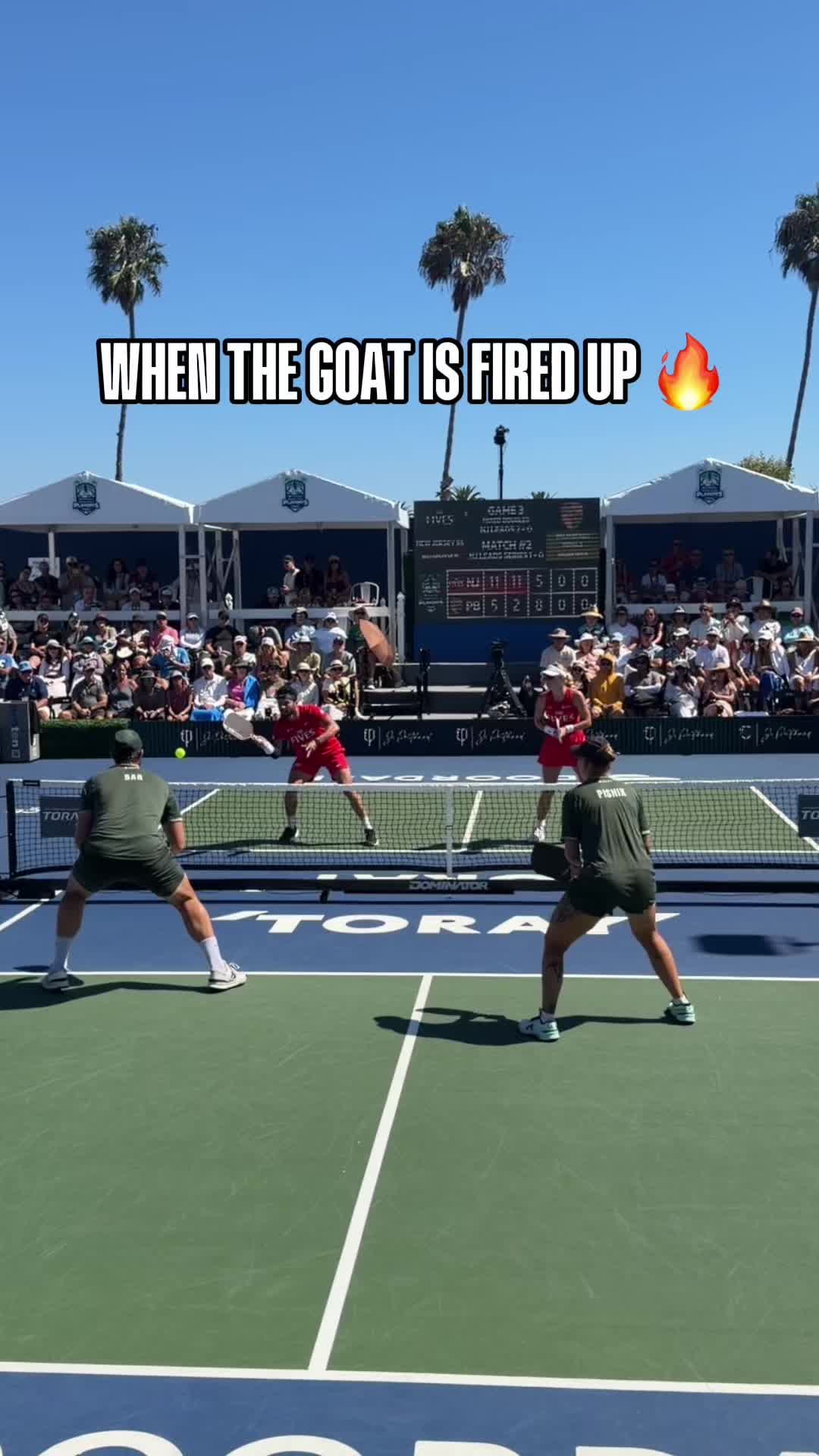 @pickleballdotcom