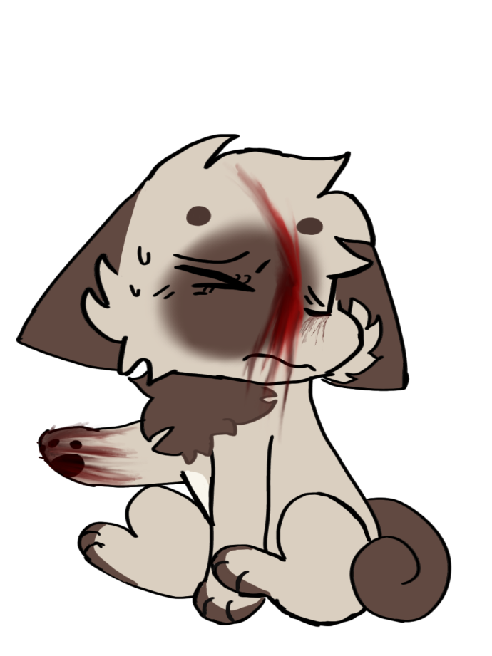 @🎀🐶~° Melodysforrrdoggy°~🐶🎀