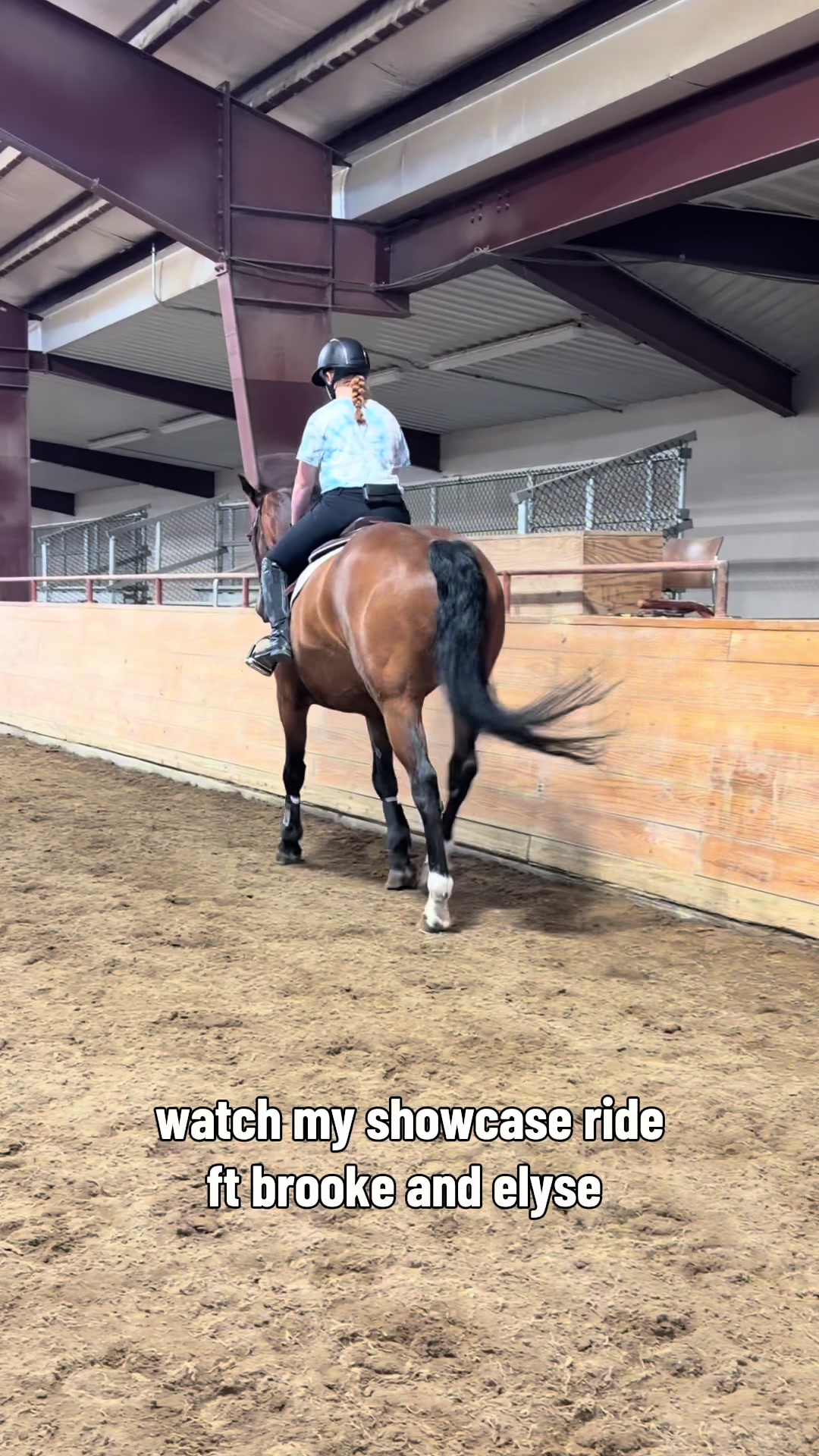 @Katie!🐴