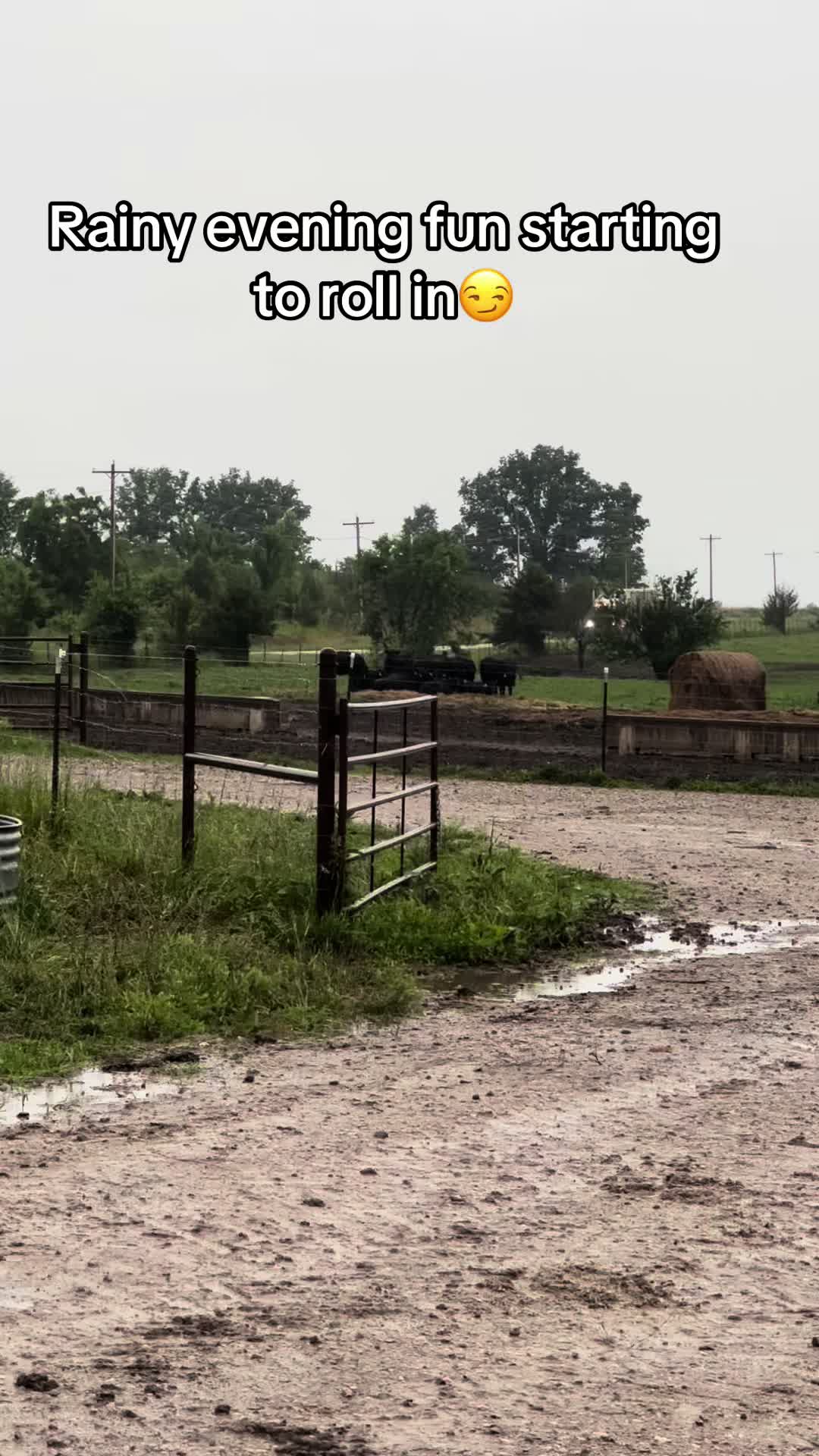 @lostgrassfarmer