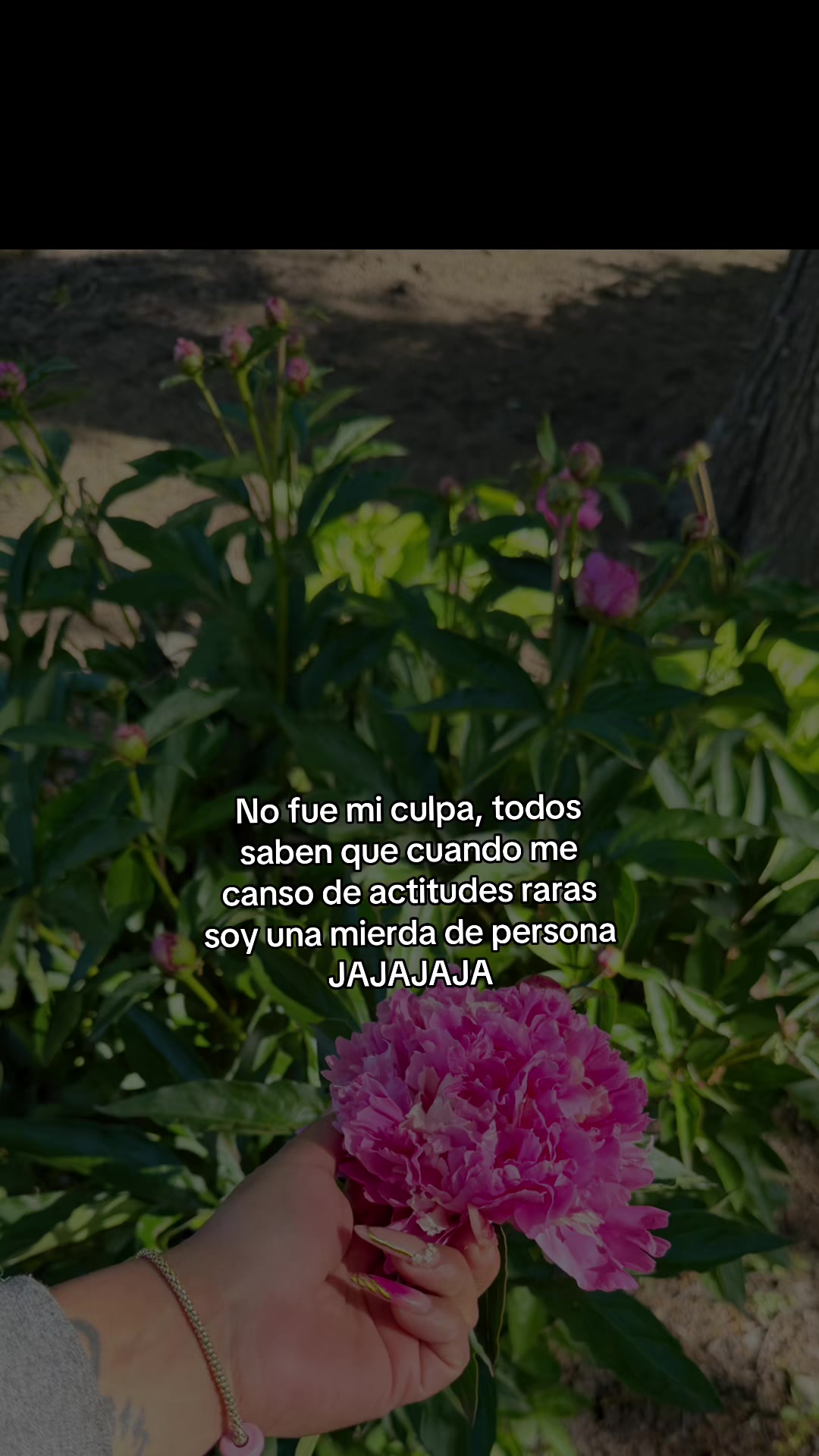 @ð¥ðð¡ðð©ðð«ð«ð¢ðð¡ðâ€ïžâ¥â¥ââ