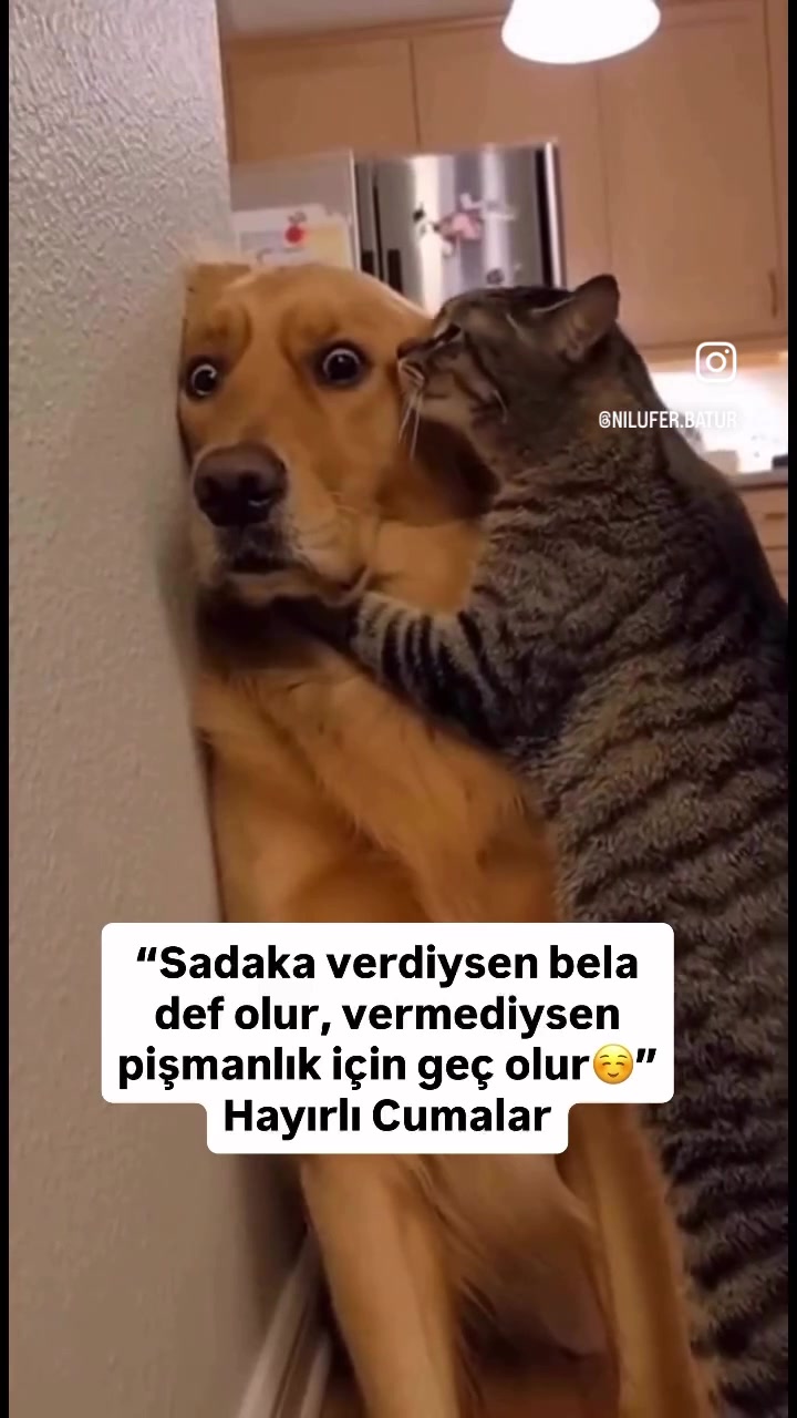 @Biraz delilik biraz felsefe