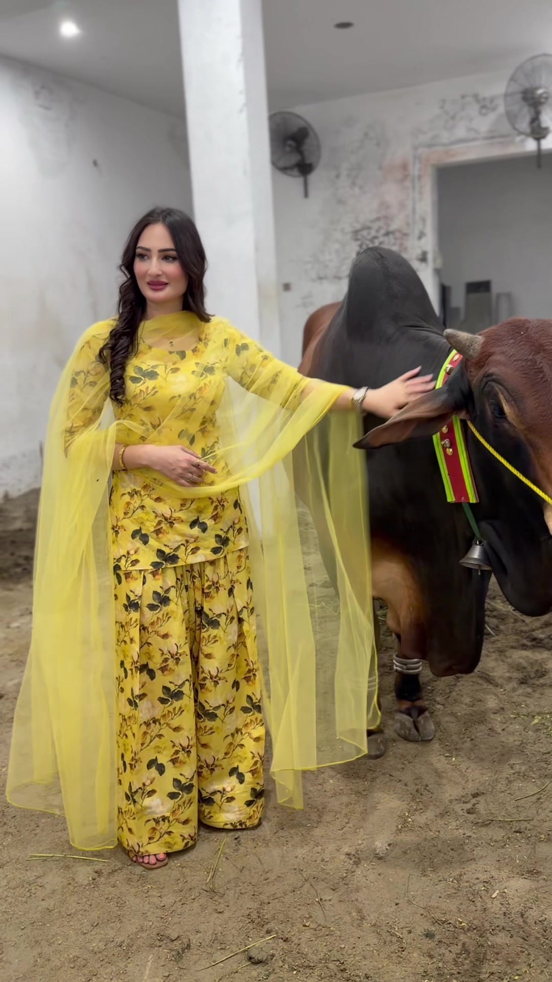@Zarnab Khan Swati