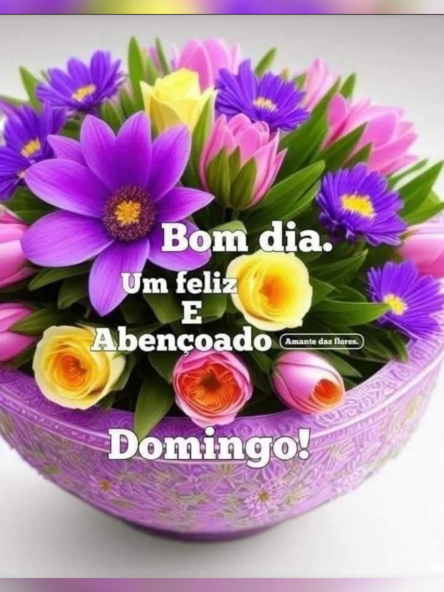 @GILDENICE MACHADO