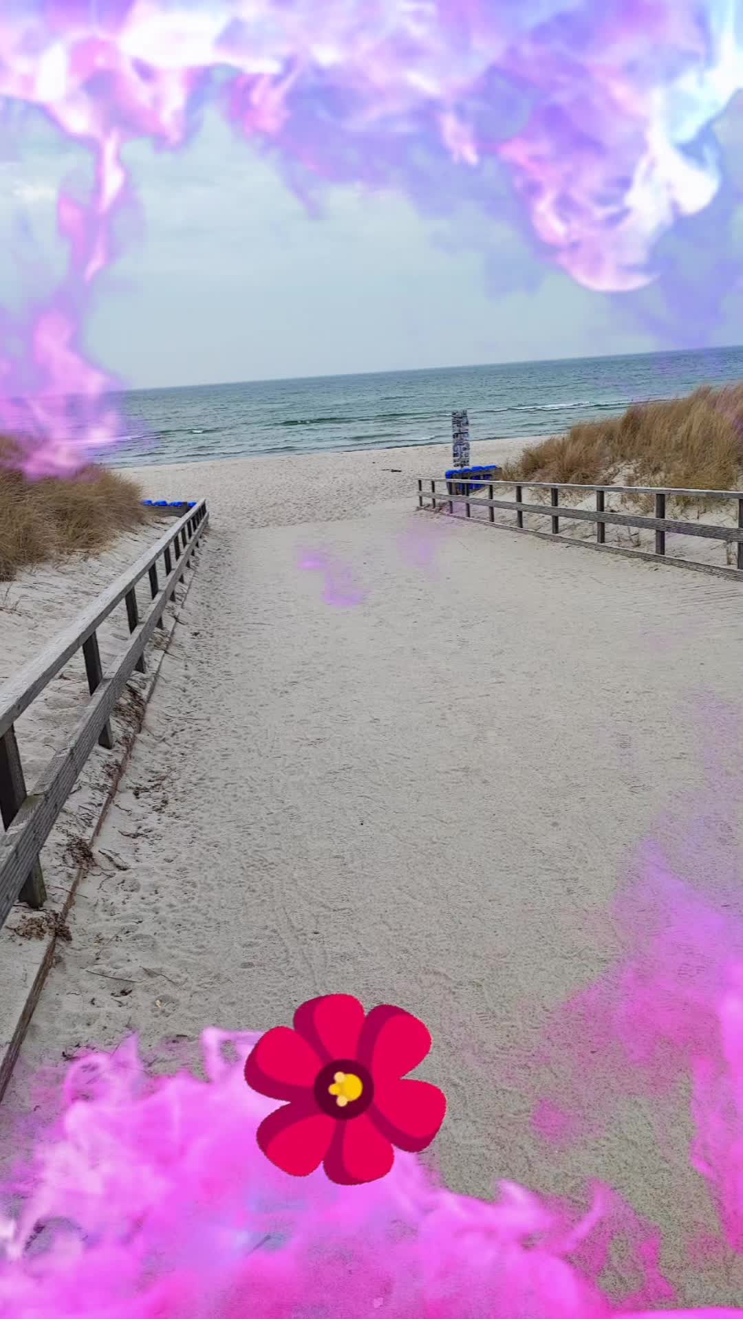 @Liebevoll44