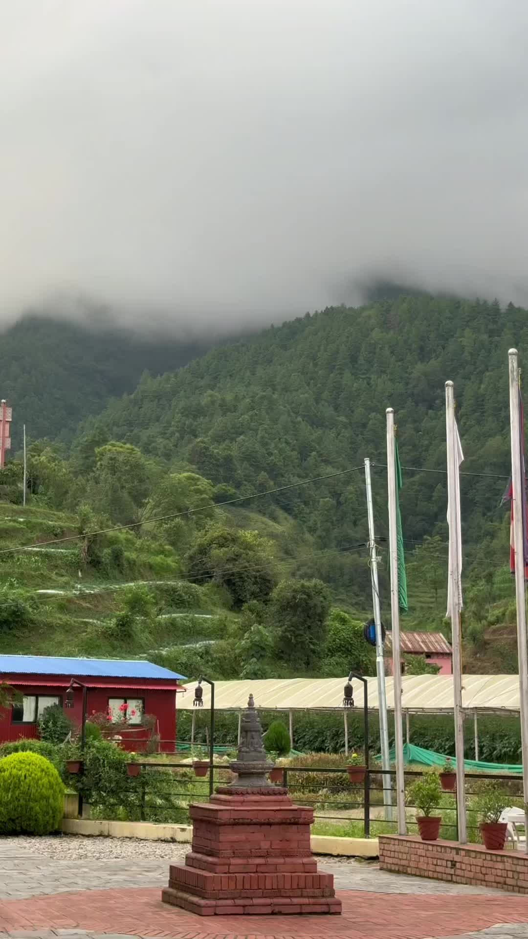 @Mahi