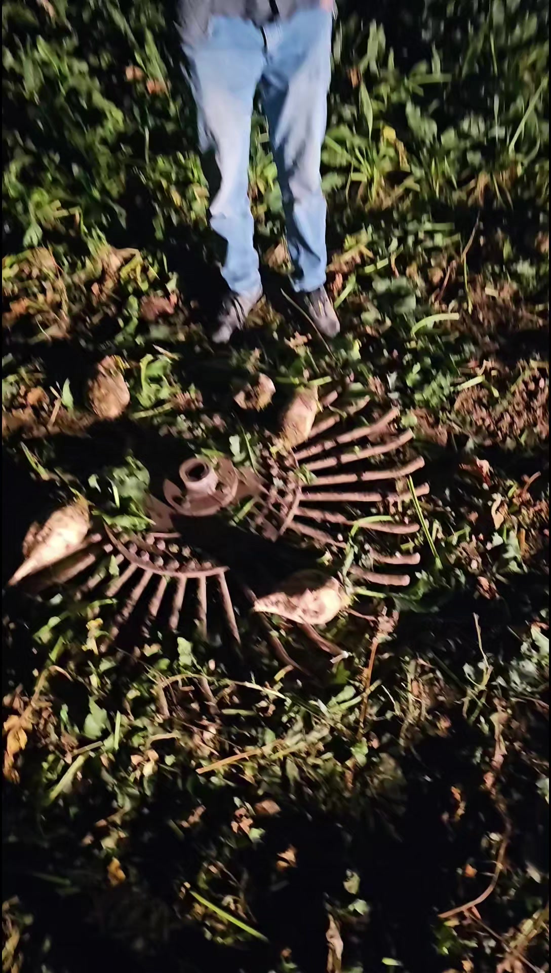 @Mustafa Bakırtaş