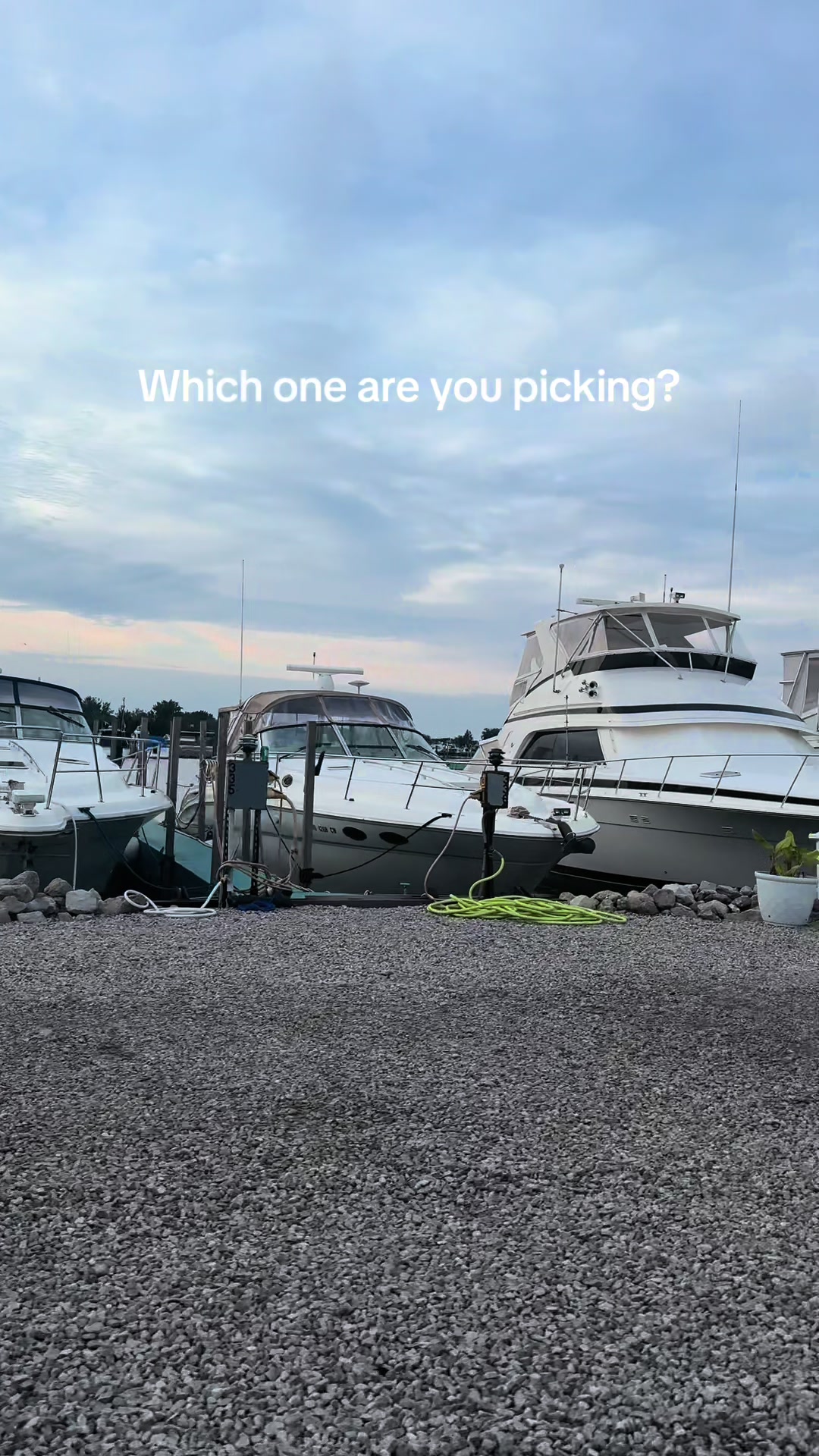 @Lake Erie Locals