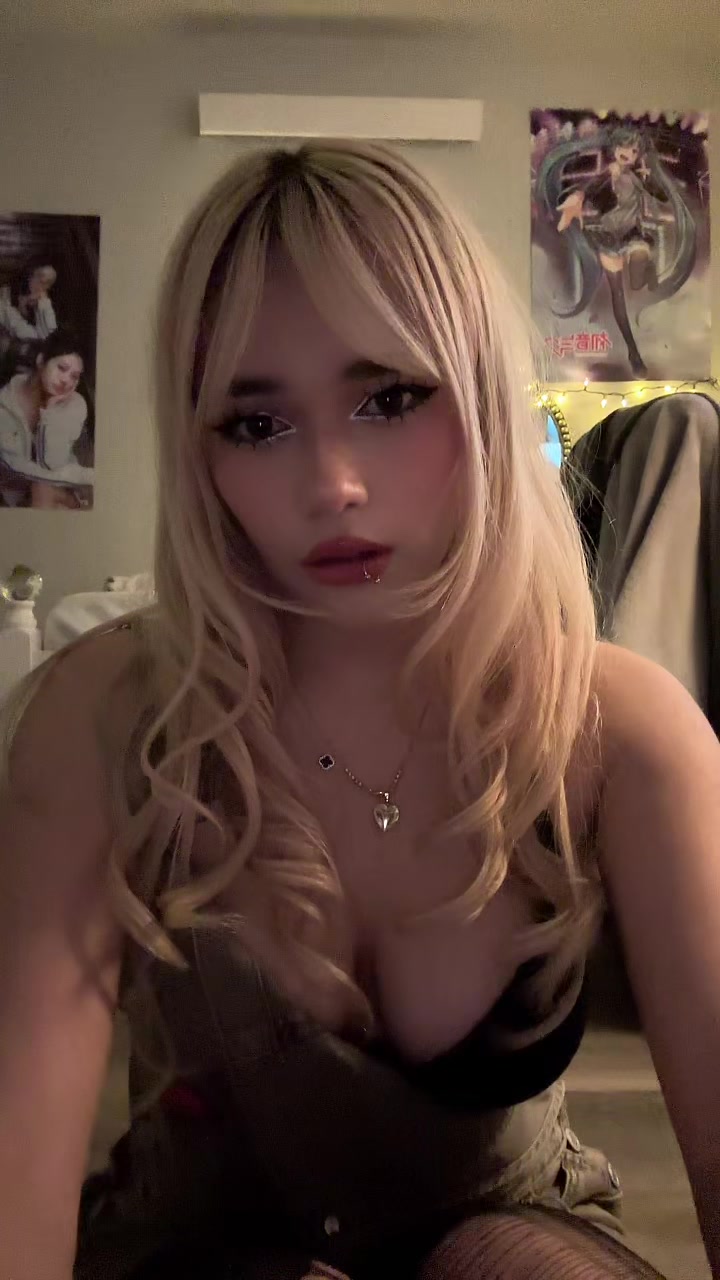 @dinopawwz