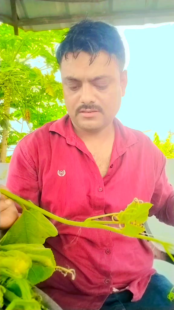 @Syangjali Hero