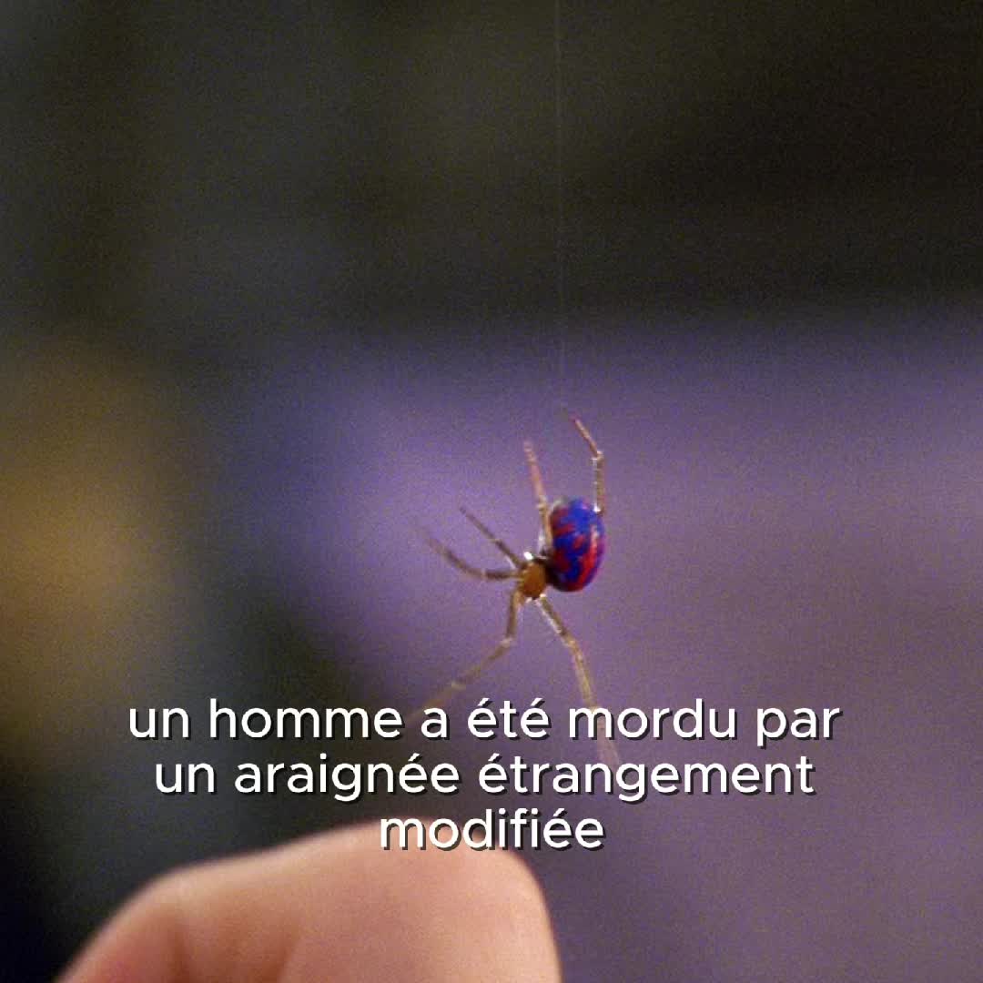 @DramaVibeRecap