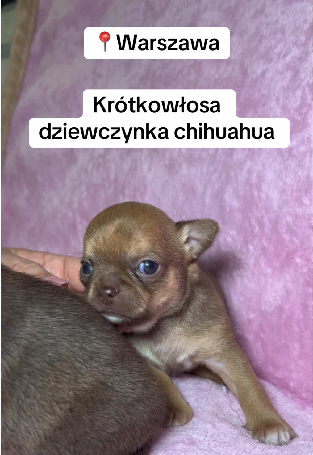 @Ulybki_lilu
