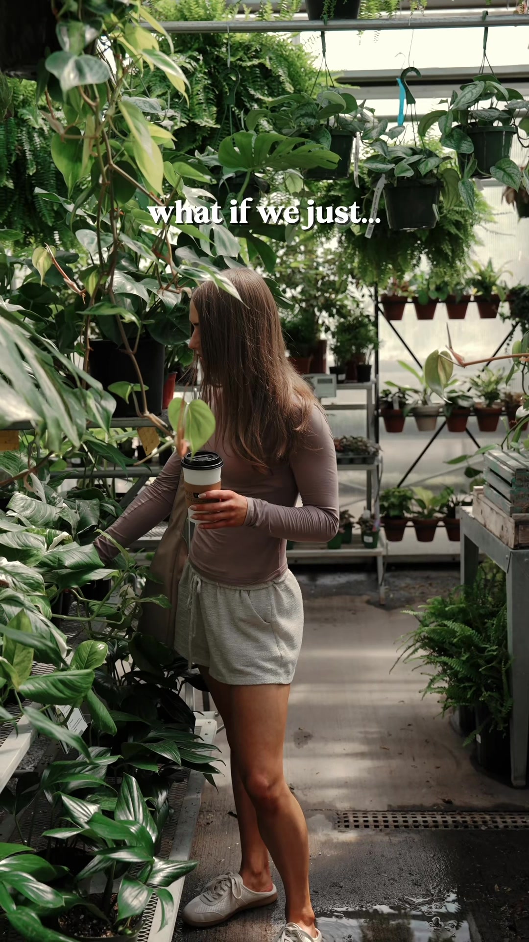 @Down to Earth Tropicals