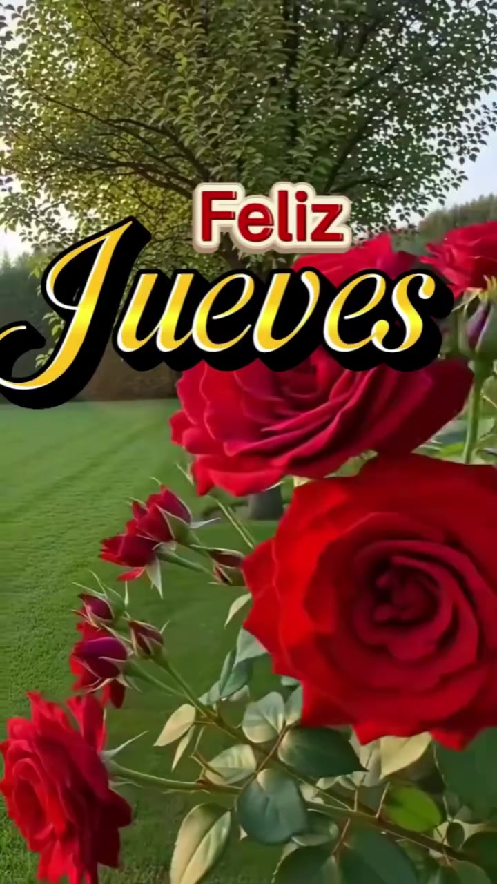 @Arely Mendoza Frases bonitas