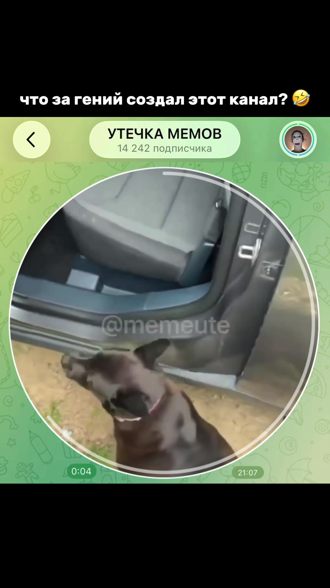 @тгк: memeute
