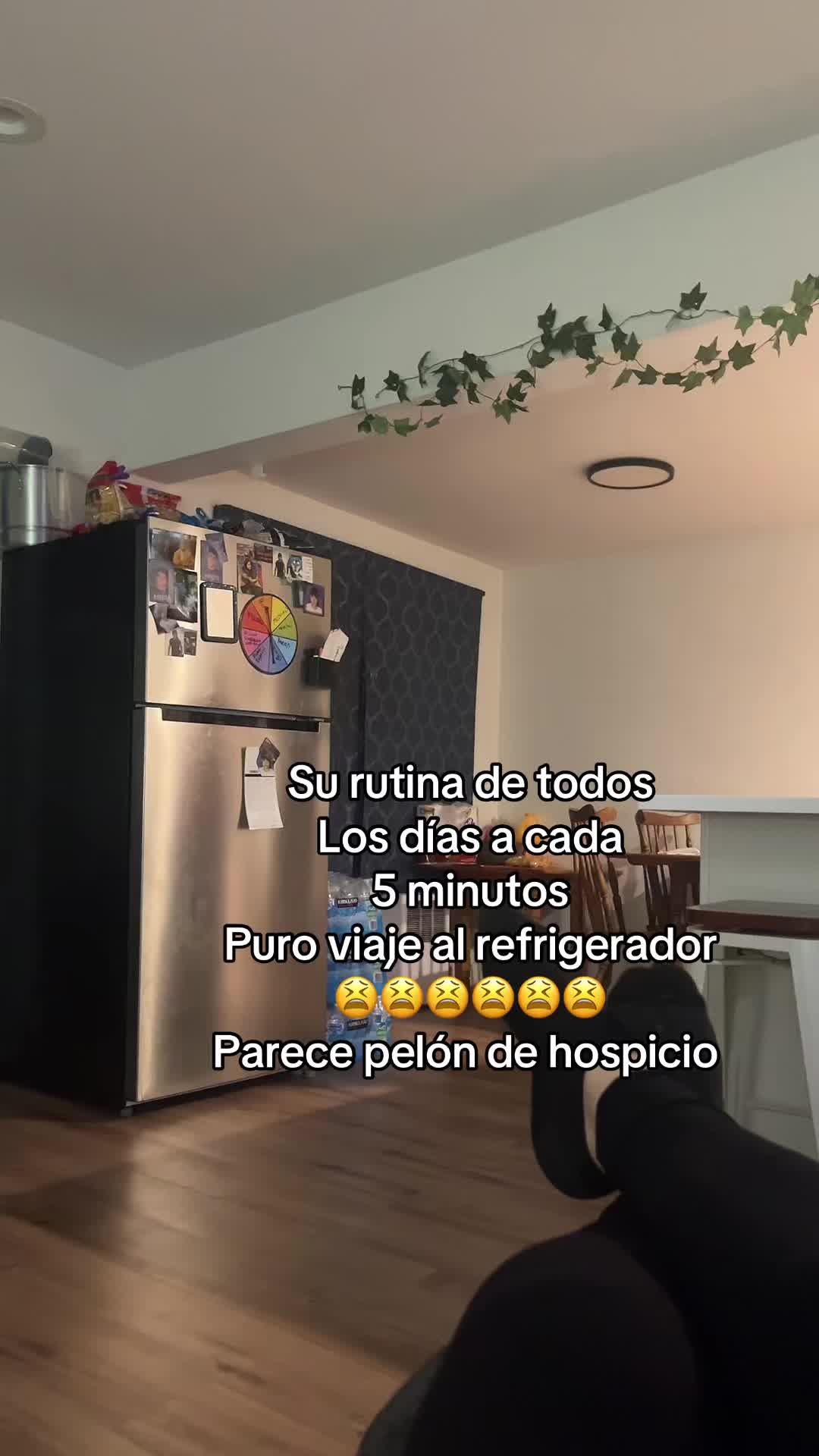 @lolischula