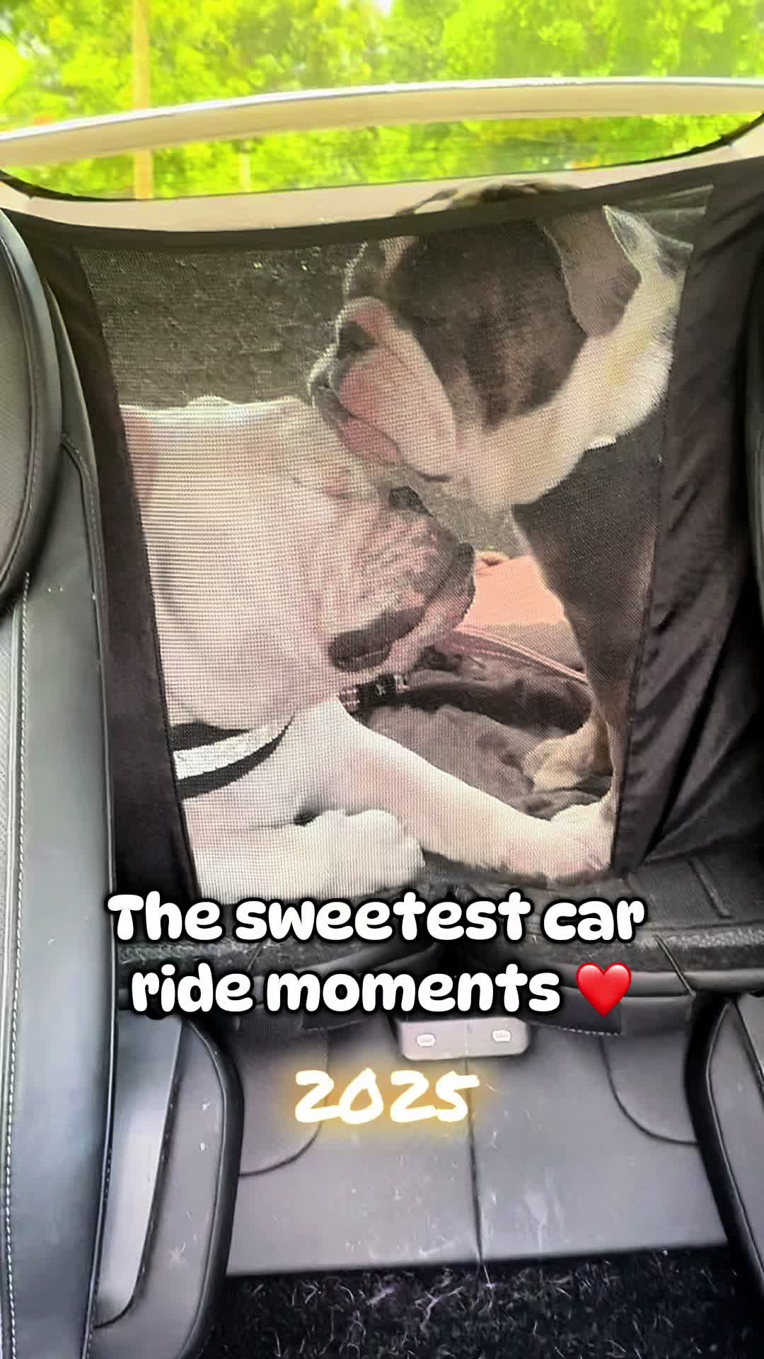 @ChubbynBella