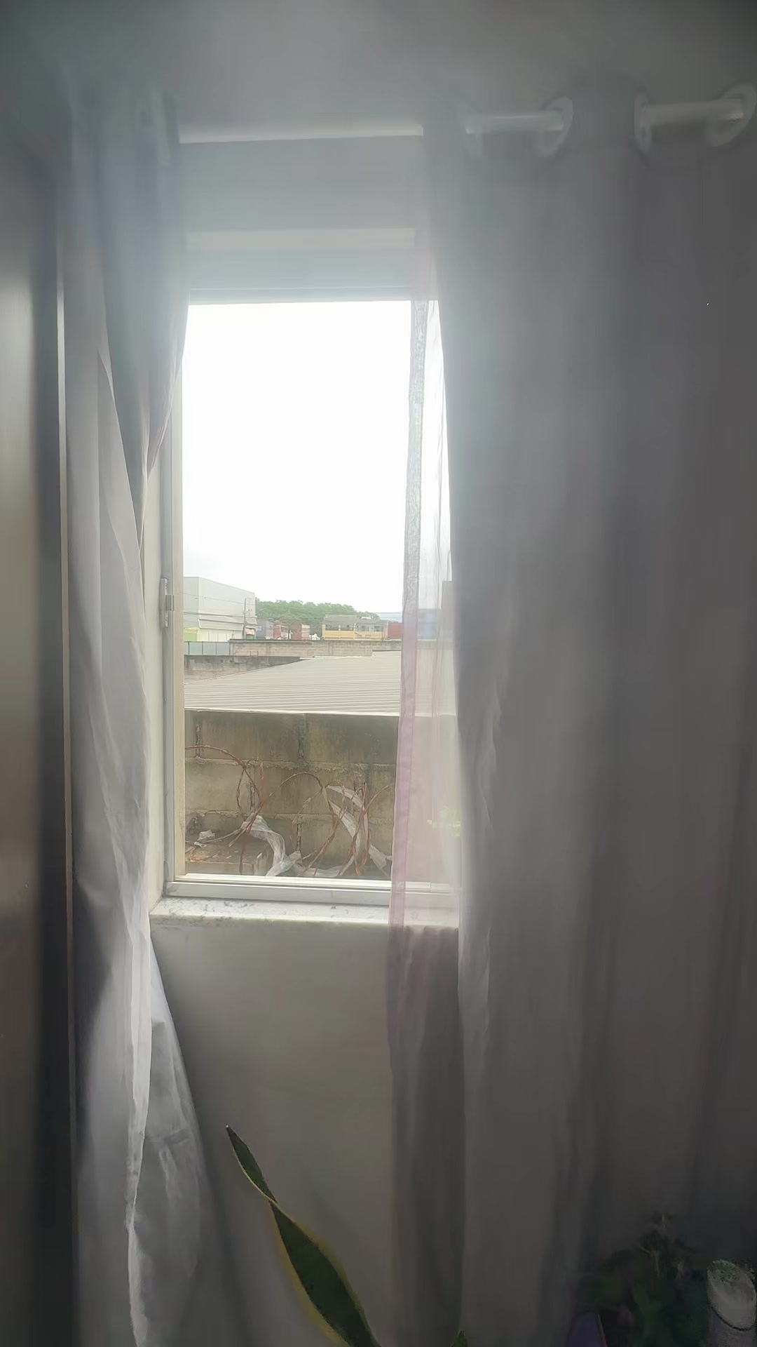 @soniamaravilhosa10