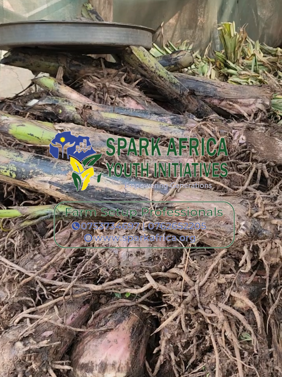 @SPARK AFRICA 1