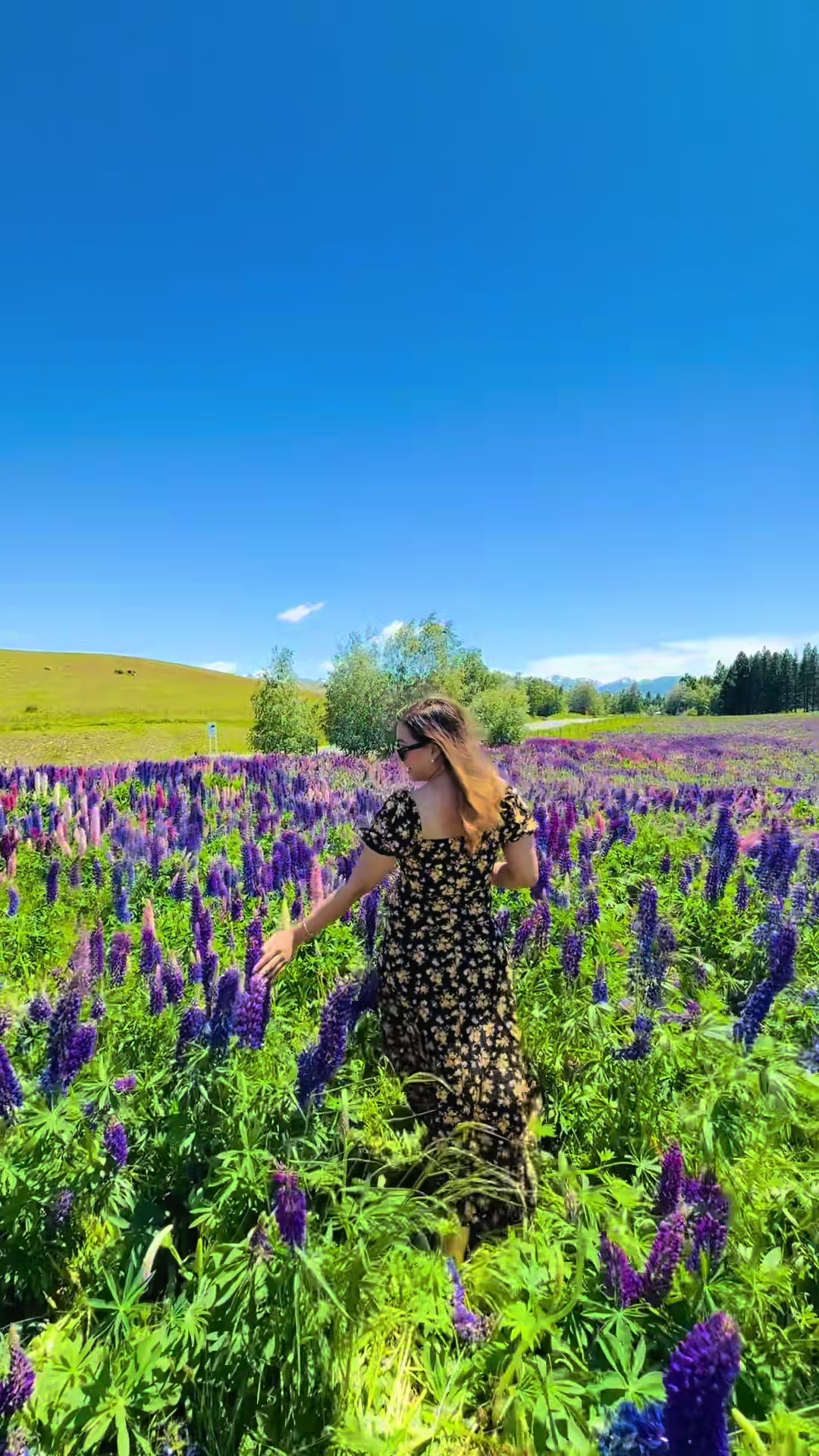@AshruuuU🕊️