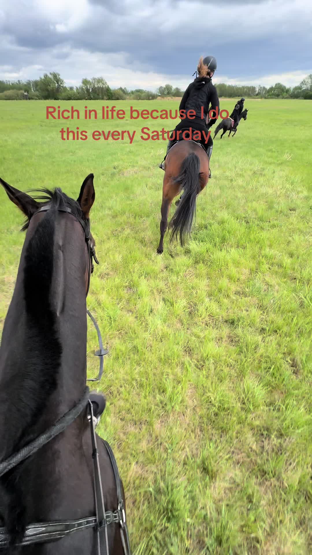 @zofka_eq