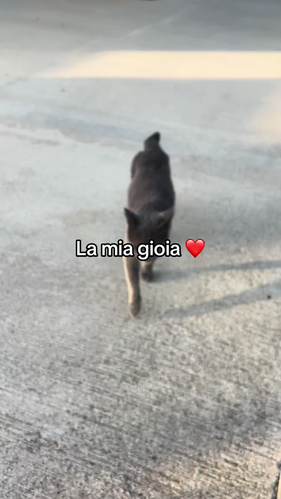 @Amira🤍👑