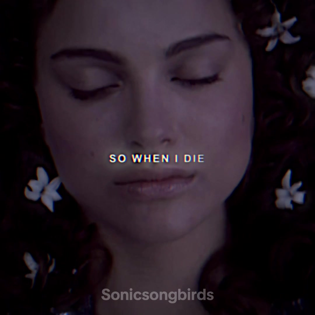 @sonicsongbirds