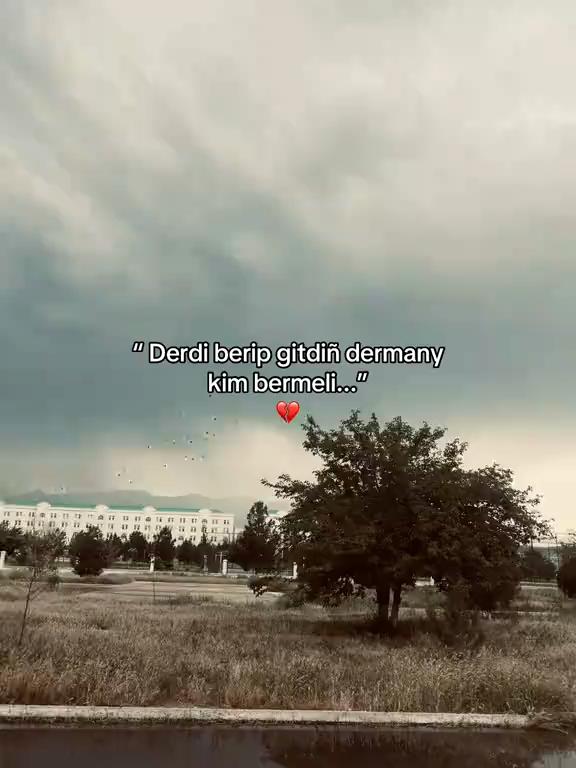 @OSga_7🌷