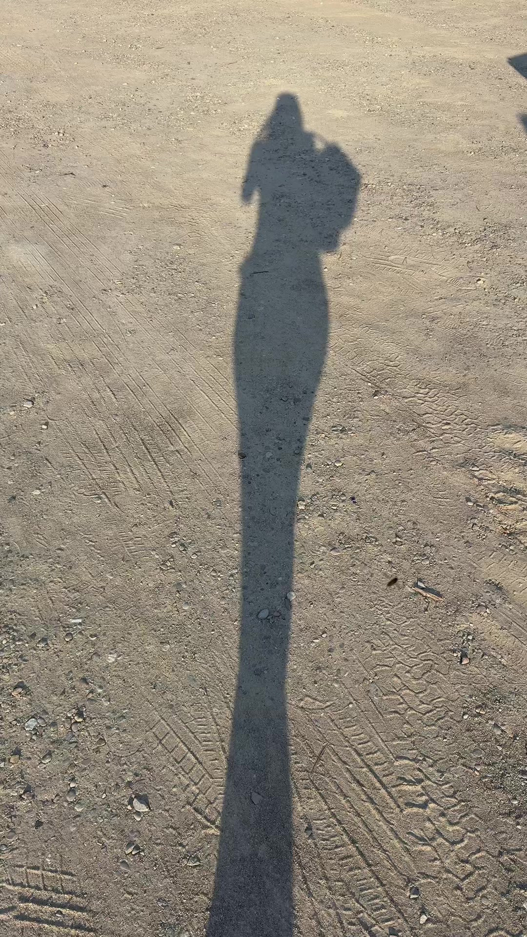 @Beach Days & Travels