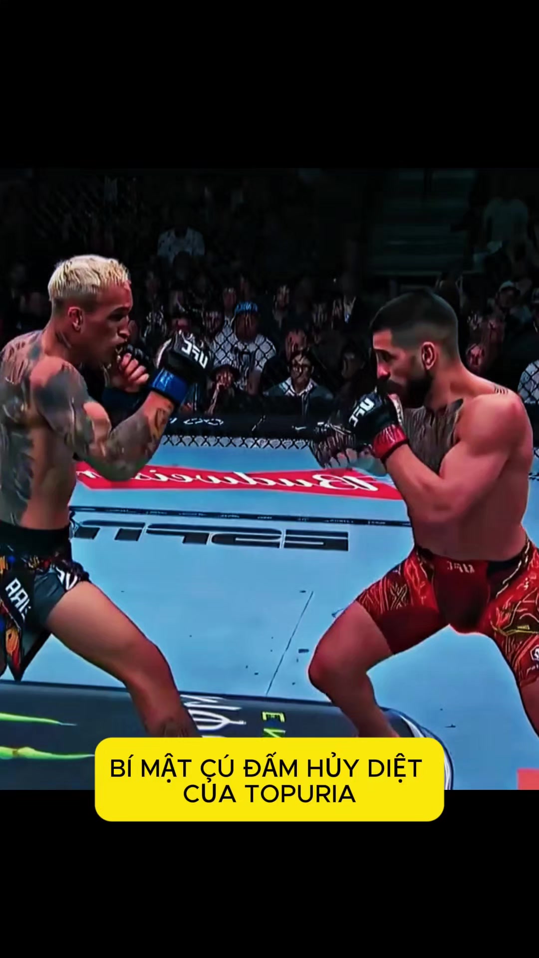 @Cảm MMA