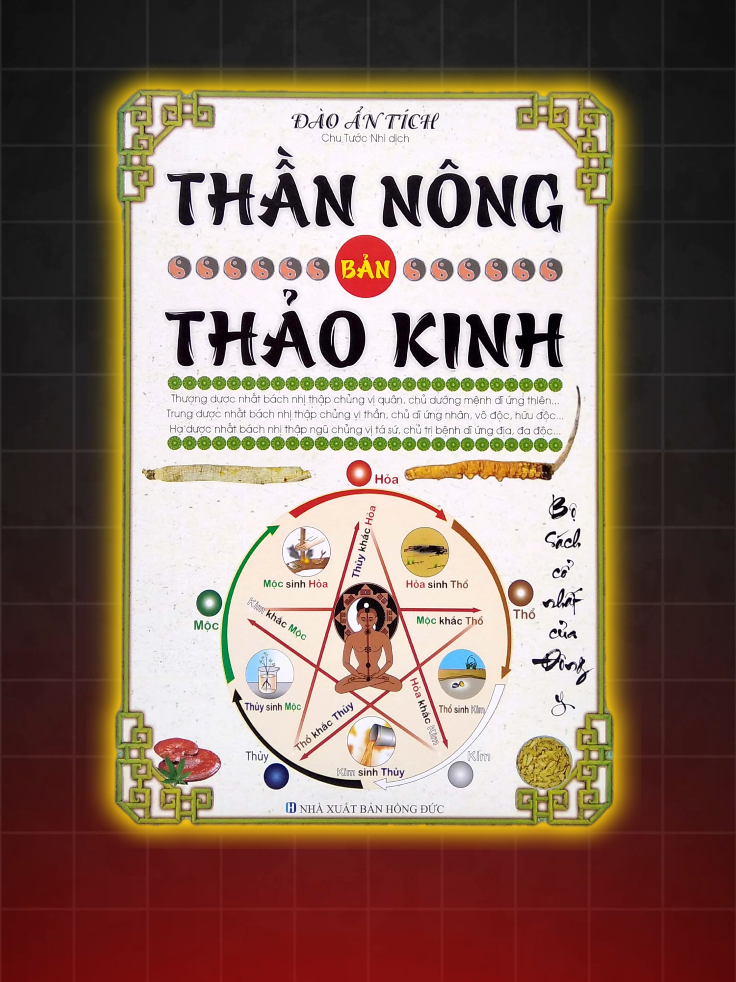 @CND GINSENG Vietnam