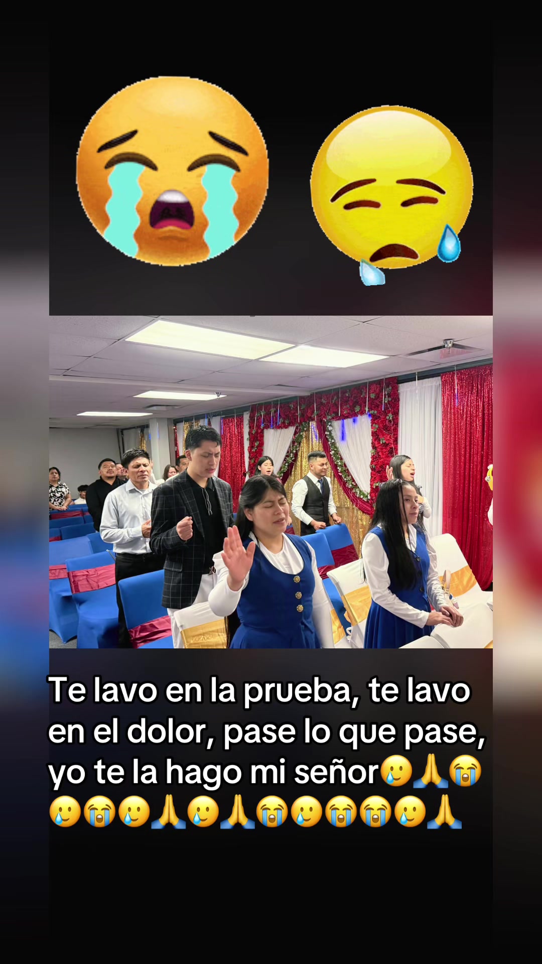 @anaseli